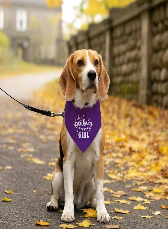 ZPPRJF Birthday Girl Dog Bandana - Purple Triangle Scarf for Small Medium Large Dogs - Funny Cute Pet Accessory - Gift for Dog Lovers (D32) - Image 5